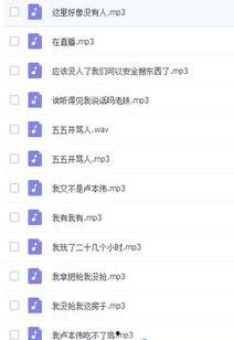 娱乐吃瓜酱的音频在线听