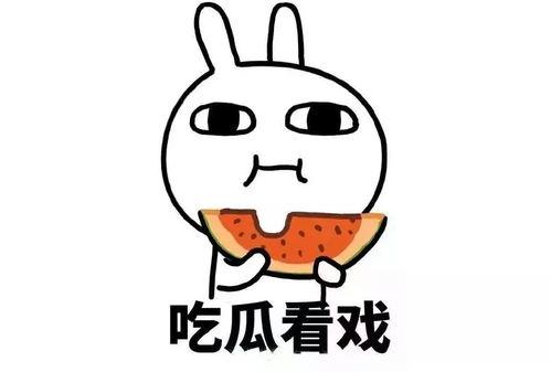 娱乐吃瓜酱讲腋窝饭团,腋窝饭团背后的趣味故事