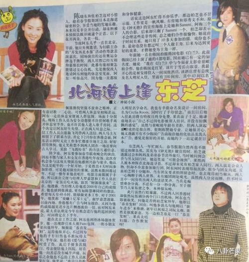 娱乐圈小说吃瓜,吃瓜群众眼中的明星风云录